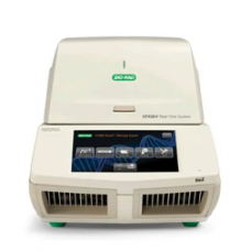 Real Time Pcr Machine
